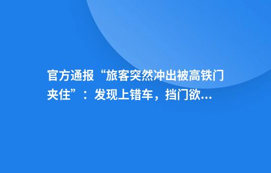 官方通报“旅客突然冲出被高铁门夹住”：发现上错车，挡门欲强行下车