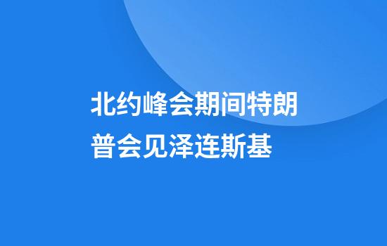 北约峰会期间特朗普会见泽连斯基