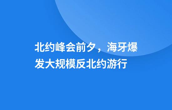 北约峰会前夕，海牙爆发大规模反北约游行