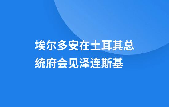 埃尔多安在土耳其总统府会见泽连斯基