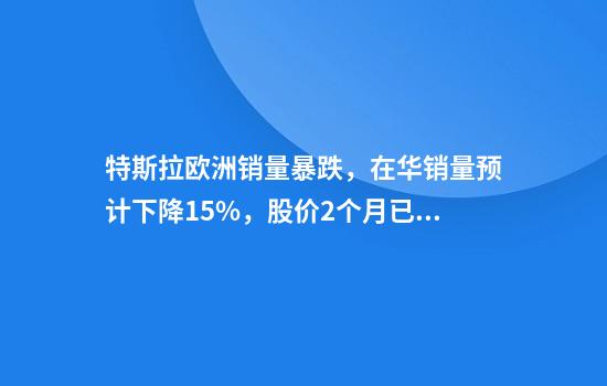 特斯拉欧洲销量暴跌，在华销量预计下降15%，股价2个月已反弹60%！