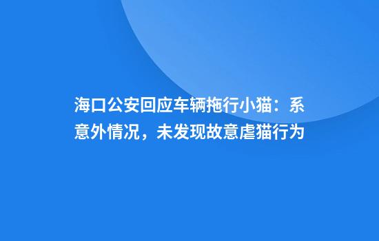 海口公安回应车辆拖行小猫：系意外情况，未发现故意虐猫行为