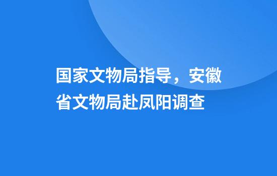 国家文物局指导，安徽省文物局赴凤阳调查