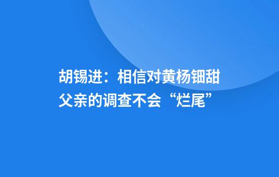 胡锡进：相信对黄杨钿甜父亲的调查不会“烂尾”