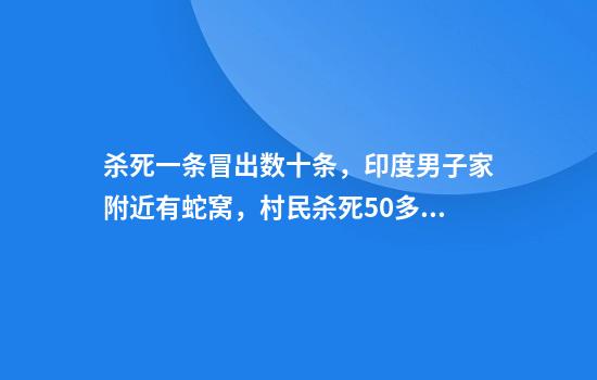 杀死一条冒出数十条，印度男子家附近有蛇窝，村民杀死50多条蛇