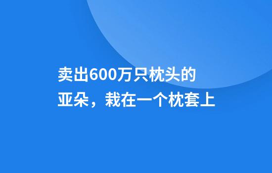 卖出600万只枕头的亚朵，栽在一个枕套上