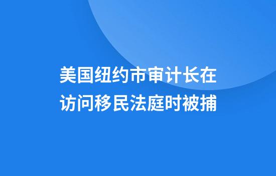 美国纽约市审计长在访问移民法庭时被捕