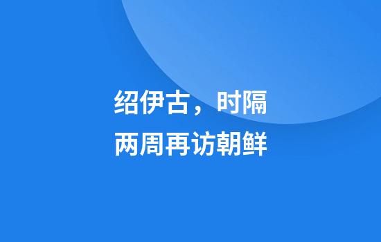 绍伊古，时隔两周再访朝鲜