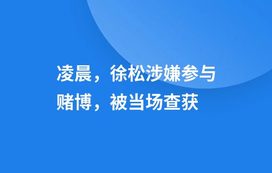 凌晨,徐松涉嫌参与赌博,被当场查获