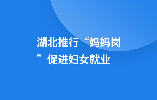 湖北推行“妈妈岗”促进妇女就业