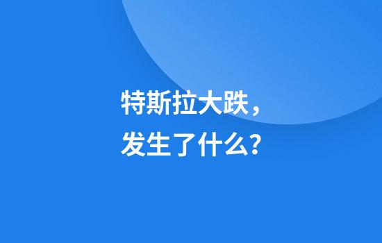 特斯拉大跌，发生了什么？
