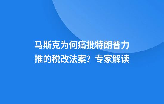 马斯克为何痛批特朗普力推的税改法案？专家解读