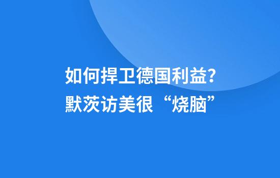 如何捍卫德国利益？默茨访美很“烧脑”