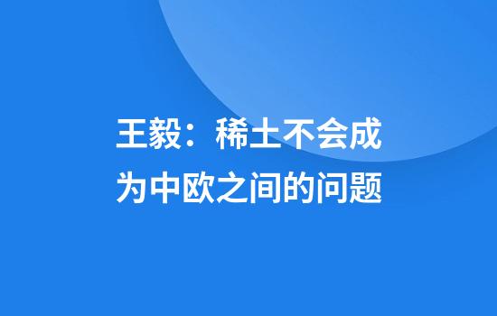 王毅：稀土不会成为中欧之间的问题