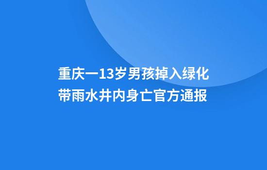 重庆一13岁男孩掉入绿化带雨水井内身亡官方通报