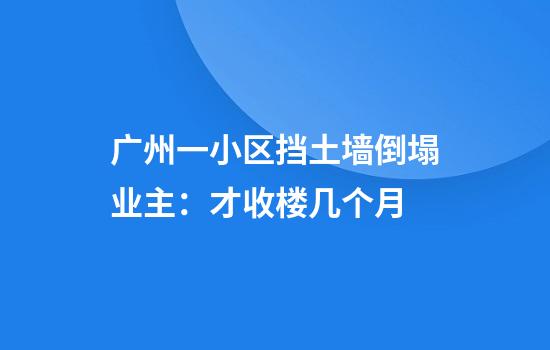 广州一小区挡土墙倒塌业主：才收楼几个月