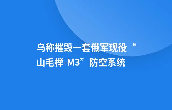 乌称摧毁一套俄军现役“山毛榉-M3”防空系统