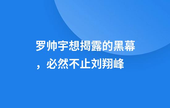 罗帅宇想揭露的黑幕，必然不止刘翔峰