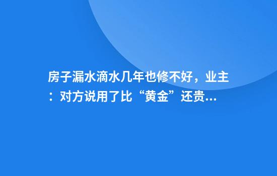 房子漏水滴水几年也修不好，业主：对方说用了比“黄金”还贵的材料