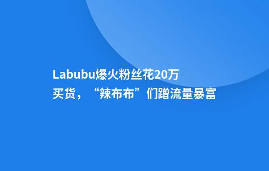 Labubu爆火粉丝花20万买货，“辣布布”们蹭流量暴富