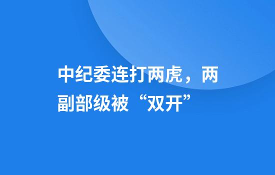 中纪委连打两虎，两副部级被“双开”