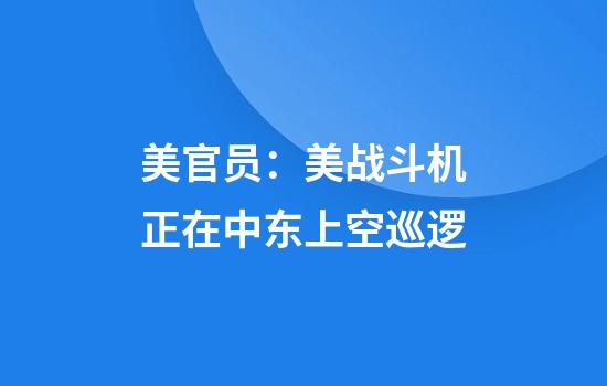 美官员：美战斗机正在中东上空巡逻