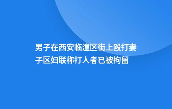 男子在西安临潼区街上殴打妻子区妇联称打人者已被拘留