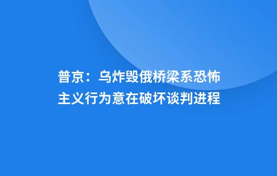 普京：乌炸毁俄桥梁系恐怖主义行为意在破坏谈判进程