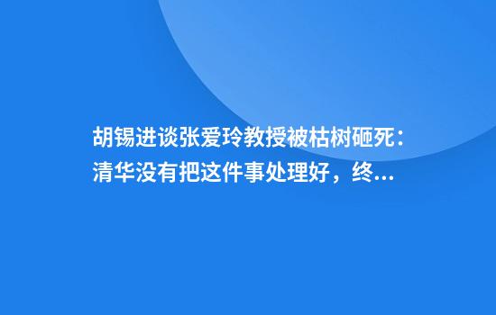 胡锡进谈张爱玲教授被枯树砸死：清华没有把这件事处理好，终酿舆情
