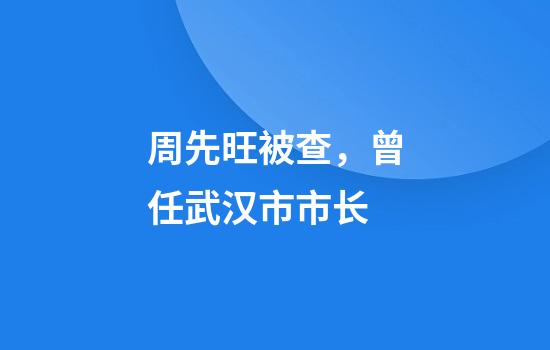周先旺被查，曾任武汉市市长