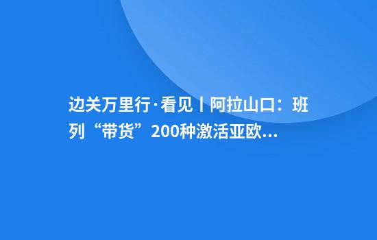 边关万里行·看见丨阿拉山口：班列“带货”200种激活亚欧新活力
