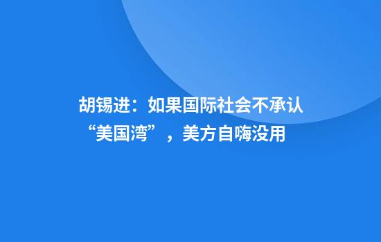 胡锡进:如果国际社会不承认“美国湾”,美方自嗨没用