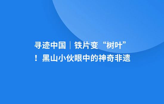 寻迹中国｜铁片变“树叶”！黑山小伙眼中的神奇非遗