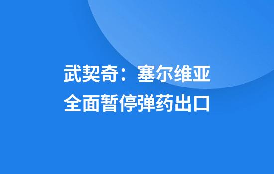 武契奇：塞尔维亚全面暂停弹药出口