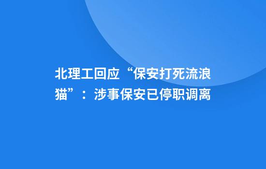 北理工回应“保安打死流浪猫”：涉事保安已停职调离