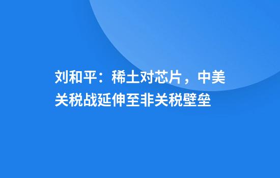 刘和平：稀土对芯片，中美关税战延伸至非关税壁垒