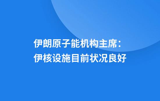 伊朗原子能机构主席：伊核设施目前状况良好