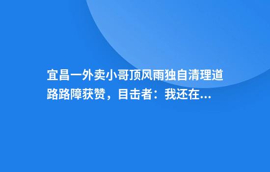 宜昌一外卖小哥顶风雨独自清理道路路障获赞，目击者：我还在犹豫他已经停车清障了