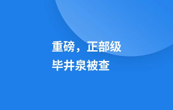 重磅，正部级毕井泉被查