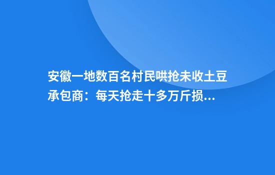 安徽一地数百名村民哄抢未收土豆承包商：每天抢走十多万斤损失数十万