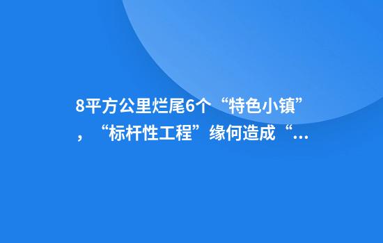 8平方公里烂尾6个“特色小镇”，“标杆性工程”缘何造成“标志性浪费”