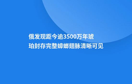 俄发现距今逾3500万年琥珀封存完整蟑螂翅脉清晰可见
