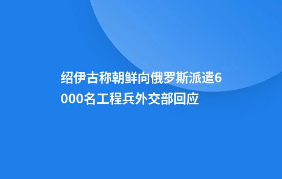 绍伊古称朝鲜向俄罗斯派遣6000名工程兵外交部回应