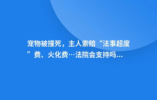 宠物被撞死，主人索赔“法事超度”费、火化费…法院会支持吗？