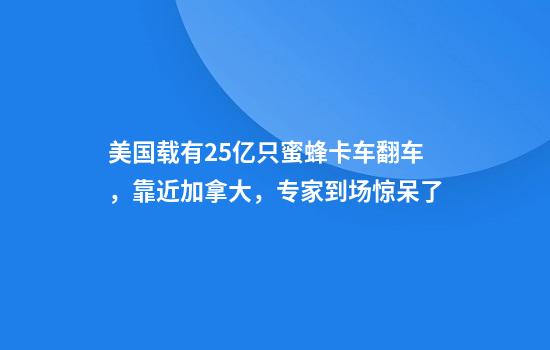 美国载有2.5亿只蜜蜂卡车翻车，靠近加拿大，专家到场惊呆了