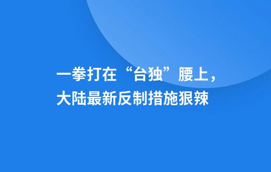 一拳打在“台独”腰上，大陆最新反制措施狠辣