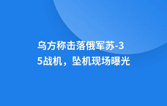 乌方称击落俄军苏-35战机，坠机现场曝光
