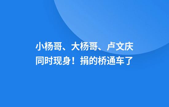 小杨哥、大杨哥、卢文庆同时现身！捐的桥通车了