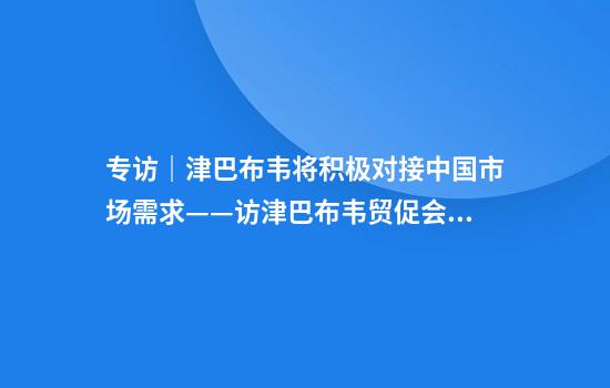 专访｜津巴布韦将积极对接中国市场需求——访津巴布韦贸促会首席执行官马朱鲁