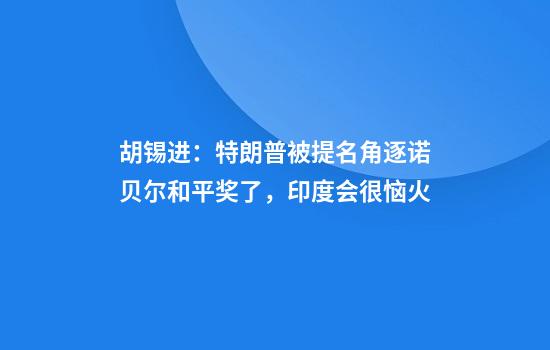 胡锡进：特朗普被提名角逐诺贝尔和平奖了，印度会很恼火